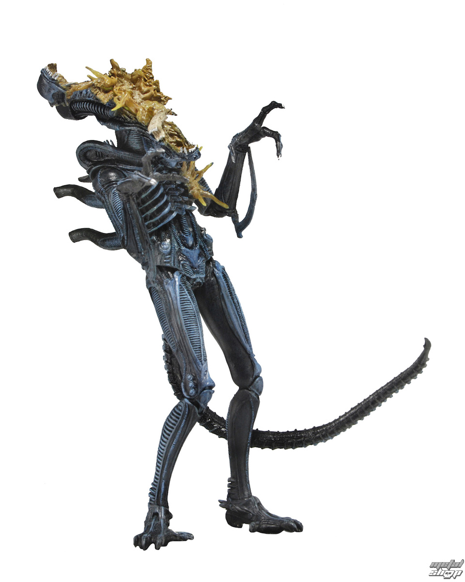 alien xenomorph warrior